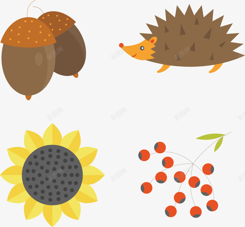 秋季元素png免抠素材_新图网 https://ixintu.com 刺猬 卡通 四种秋季动植物 插画 植物 橡果 秋季
