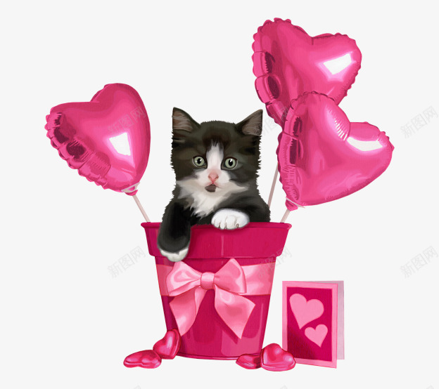 情人节送给爱人的可爱猫咪礼物png免抠素材_新图网 https://ixintu.com 宠物猫 情人节 新春 春天 春季 礼盒 节日 节日素材
