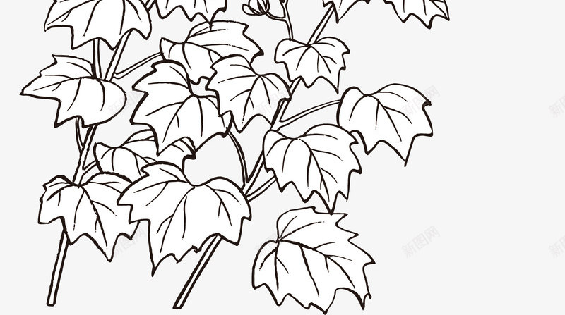手绘装饰线描花卉蜜蜂图案矢量图ai免抠素材_新图网 https://ixintu.com 儿童植物简笔画 创意 手绘图案 手绘花朵叶子 手绘风装饰图案 线描花朵 花卉蜜蜂 矢量图