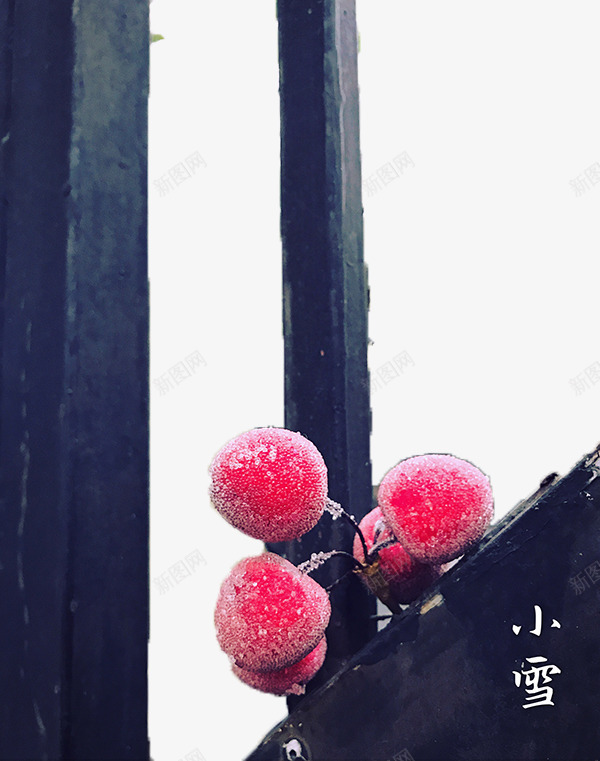 冰杨梅图案png免抠素材_新图网 https://ixintu.com 冬天 实物 小雪 结冰