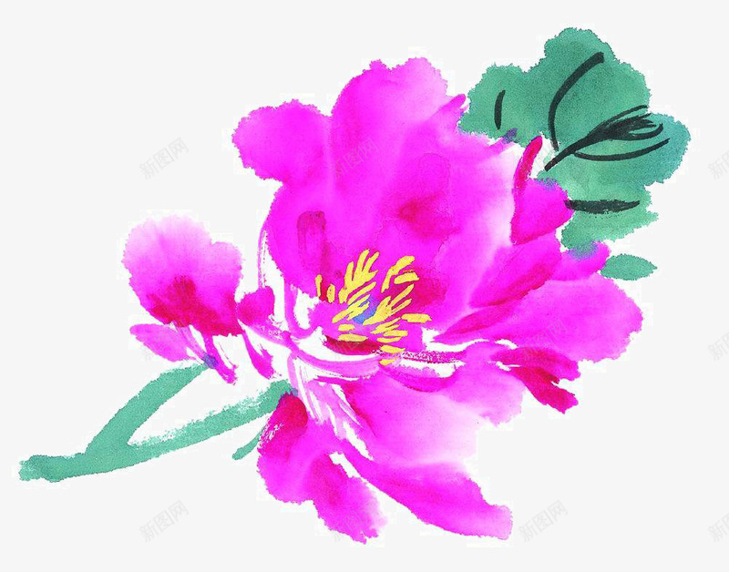 泼墨牡丹png免抠素材_新图网 https://ixintu.com 国画写生小品 国画花卉 宣纸花草 手绘国画 手绘花草 装饰植物手绘