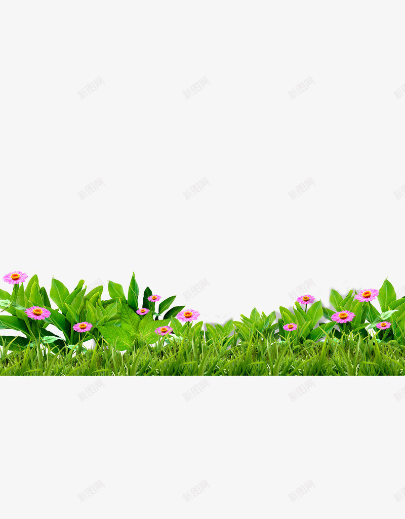 草地花丛绿色花psd免抠素材_新图网 https://ixintu.com 草地花丛绿色花