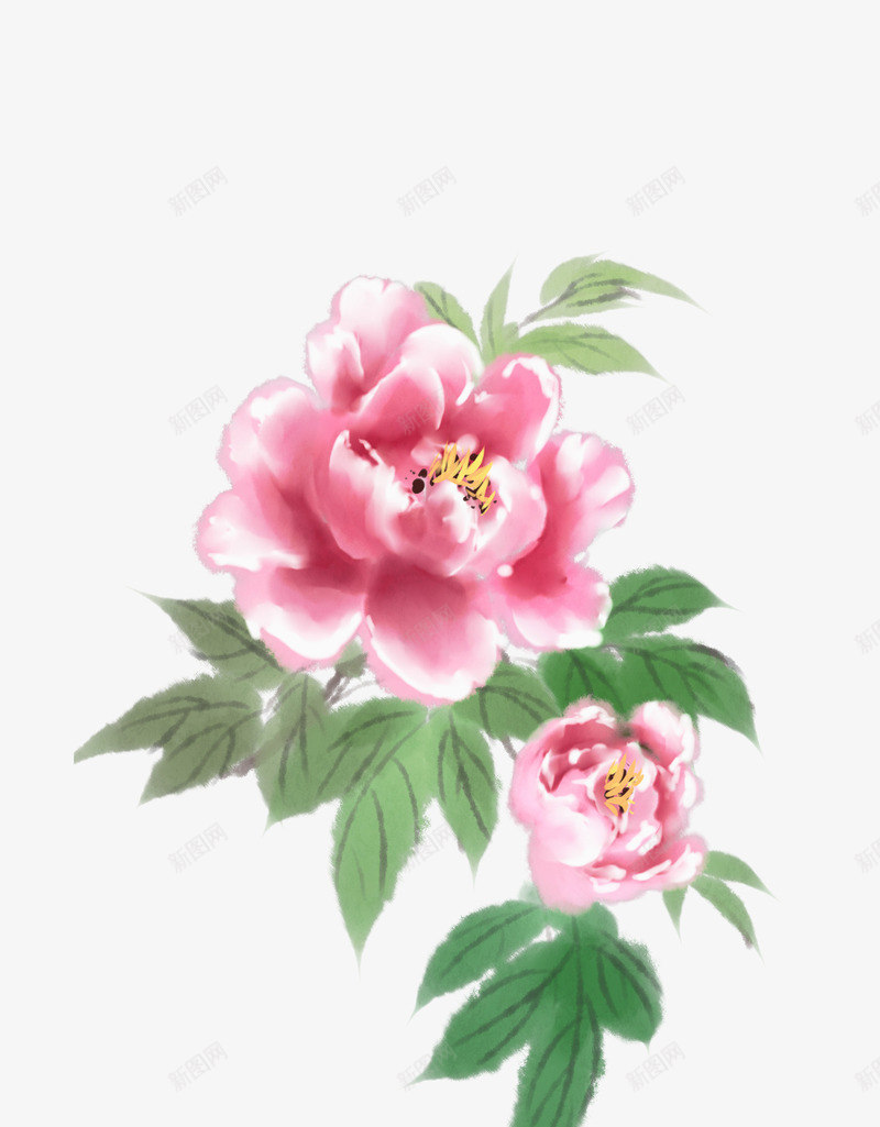 牡丹花牡丹图png免抠素材_新图网 https://ixintu.com 手绘牡丹花 牡丹图 牡丹花 牡丹花素材