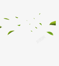 绿叶漂浮植物叶子素材