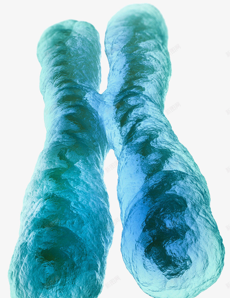 染色体生物科技psd免抠素材_新图网 https://ixintu.com 基因秘密 染色体 生命奥秘 遗传物质