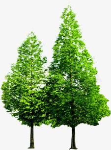 春季清新绿色大树植物png免抠素材_新图网 https://ixintu.com 大树 春季 植物 清新 绿色