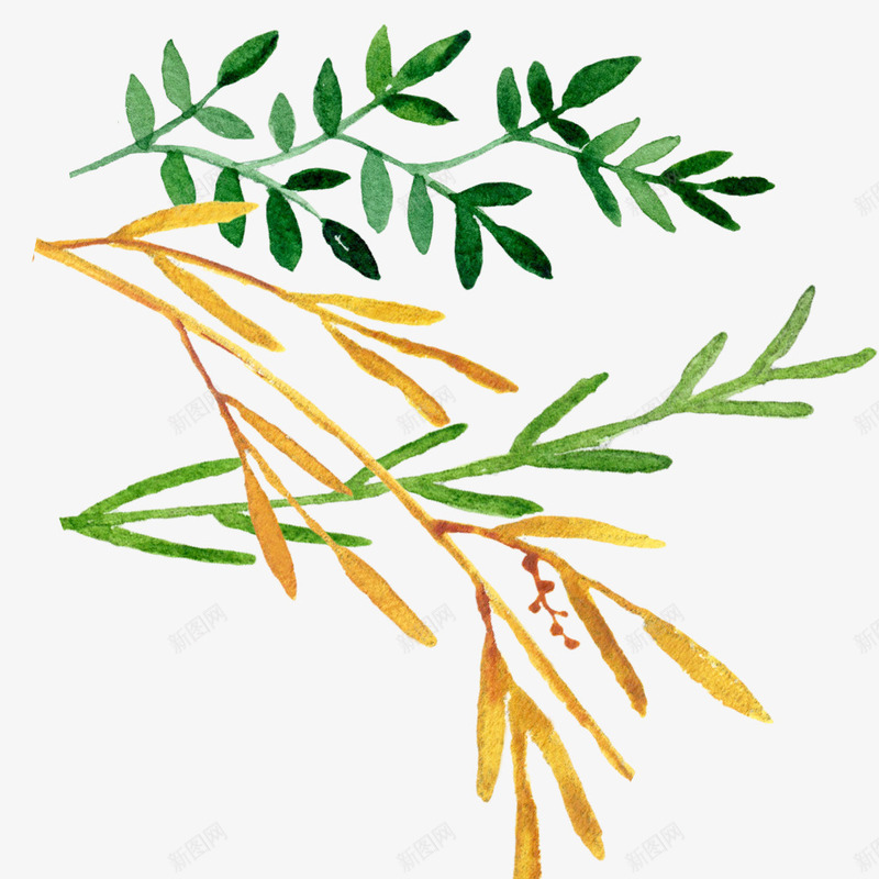 彩色树叶手绘水彩植物叶子图案素psd免抠素材_新图网 https://ixintu.com 唯美 彩色树叶 彩色树叶手绘水彩植物叶子图案素材免费下载 手绘 插画 晕染 植物 水彩 油画 淡雅 绿植 自然 艺术