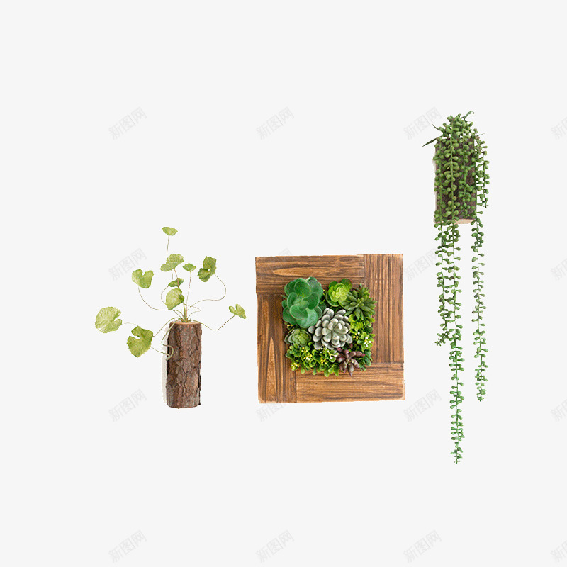 仿真植物壁挂背景墙装饰png免抠素材_新图网 https://ixintu.com 创意壁挂 壁饰组合 室内墙面装饰挂件 田园壁挂