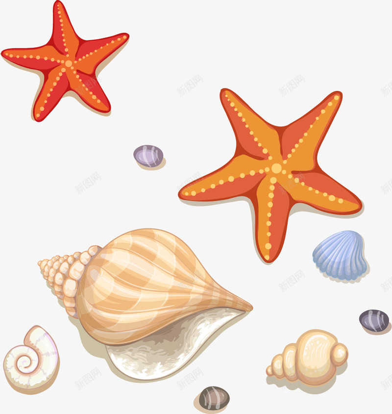 黄色简约海星贝壳装饰图案png免抠素材_新图网 https://ixintu.com 海星 简约 装饰图案 贝壳 黄色