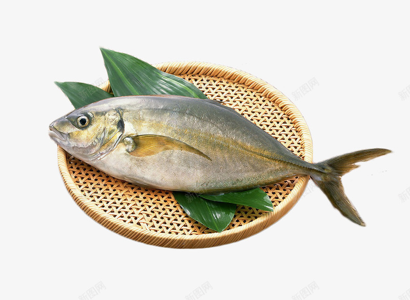 一条活鱼新鲜海鱼png免抠素材_新图网 https://ixintu.com 新鲜的淡水 水族箱 水煮鱼 活鱼 海里的鱼 生活鱼场 生活鱼馆 白色的鱼 美食 葱椒活鱼 鱼类 鱼馆餐饮 鲳鱼