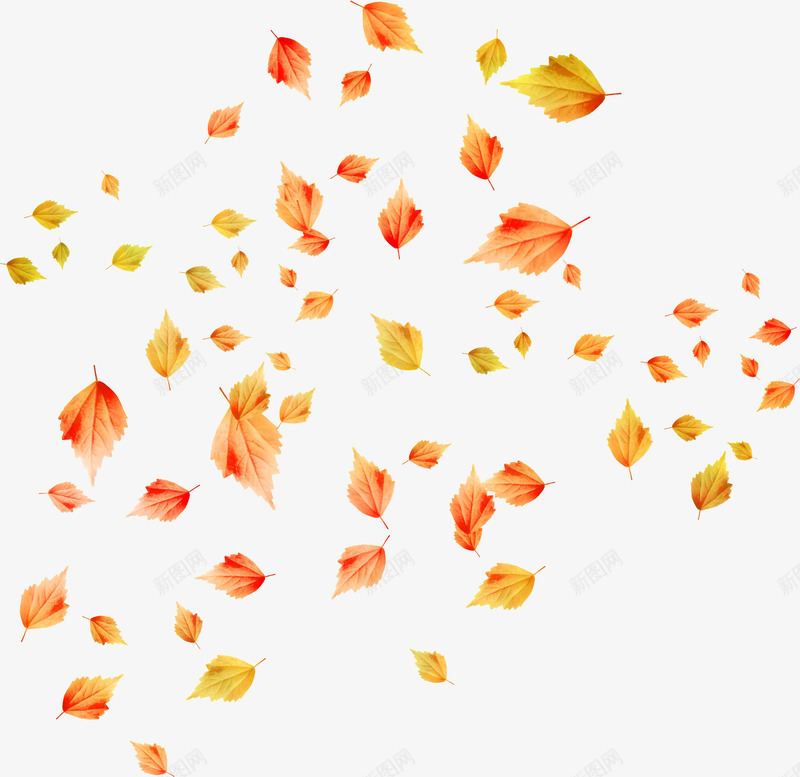 水彩花卉唯美花草png免抠素材_新图网 https://ixintu.com 卡通 花卉图案素材 花卉图片素材