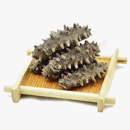海洋动物海参png免抠素材_新图网 https://ixintu.com 海参 海参免抠素材 海洋动物 珍贵 珍贵药材 营养品 补品