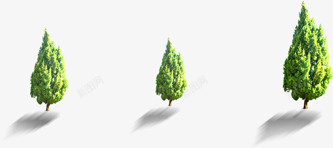 春季野外植物景观大树png免抠素材_新图网 https://ixintu.com 大树 春季 景观 植物 野外