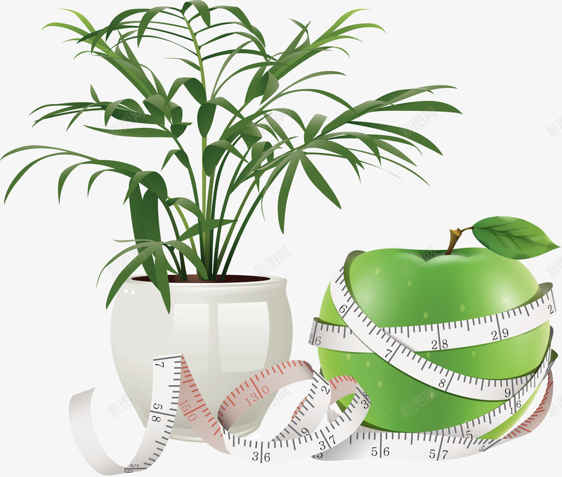 苹果静物png免抠素材_新图网 https://ixintu.com 创意水果 尺子 植物 水果 水果静物 测量 盆栽 绿苹果 花盆 花纹 苹果 苹果静物 营养 青苹果
