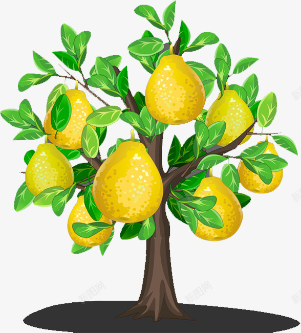 梨png免抠素材_新图网 https://ixintu.com 梨 梨树 绿叶 食物