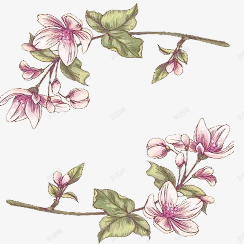 老式的春季花卉背景png免抠素材_新图网 https://ixintu.com 春季 粉色花朵 花卉 花朵 装饰花朵