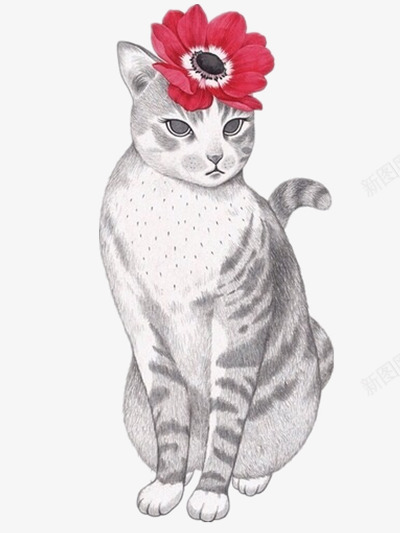 小猫咪头戴大红花png免抠素材_新图网 https://ixintu.com 冲突色 动物 插画 暗色调 牡丹 眼神