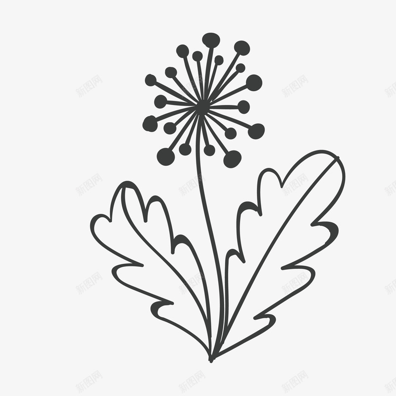 手绘玫蒲公英花卡通png免抠素材_新图网 https://ixintu.com 卡通花 填色练习 手绘 手绘带叶子的花 手绘玫瑰花 插画花 牡丹花 玫瑰纹身 花 花卉 花朵 花环 花纹 花线描 花边 蒲公英图 黑白线条花