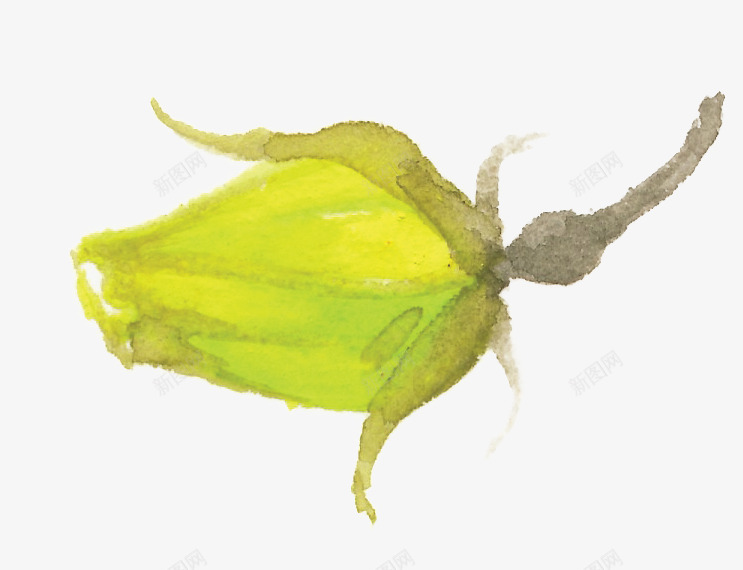 涂鸦植物花朵小清新png免抠素材_新图网 https://ixintu.com 植物 涂鸦 清新 花朵 设计
