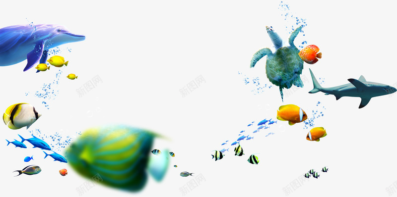 热带鱼海底世界夏天png免抠素材_新图网 https://ixintu.com 夏天 海底世界 热带鱼
