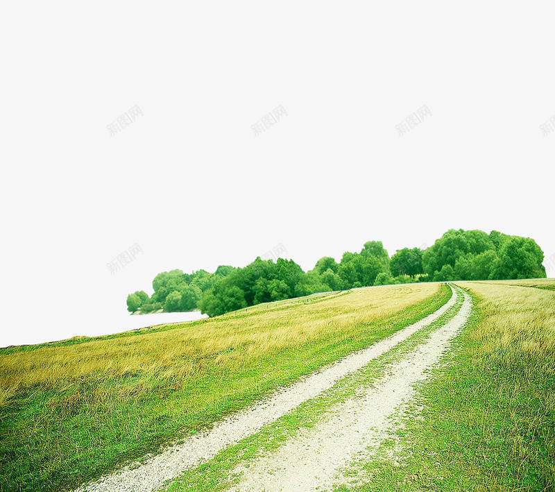 绿色草地道路psd免抠素材_新图网 https://ixintu.com 树木 绿色素材 绿色草地 背景 道路