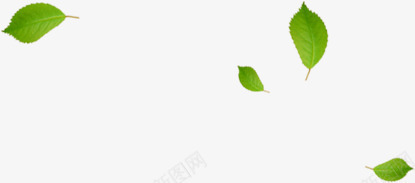 绿叶促销海报片png免抠素材_新图网 https://ixintu.com 促销 图片 海报 绿叶 设计