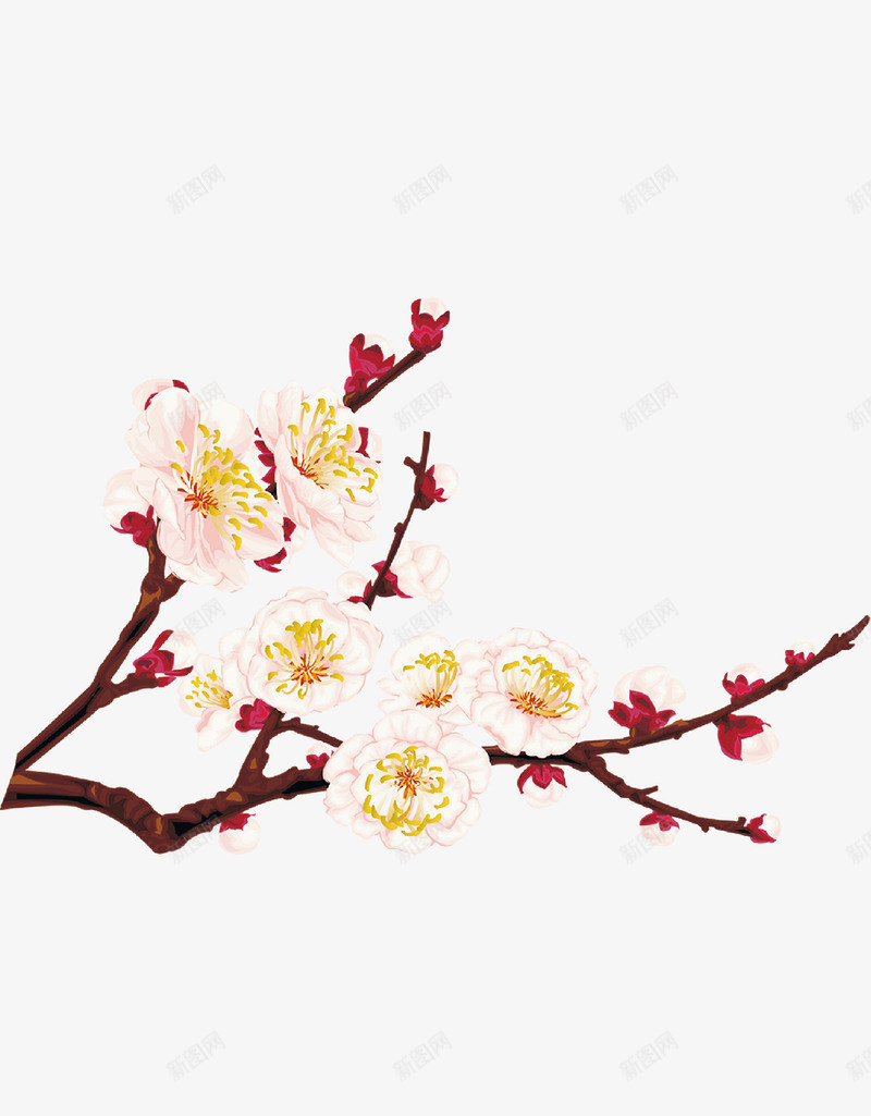 梅花矢量图ai免抠素材_新图网 https://ixintu.com 冬天的梅花 冬梅免费png下载 梅花 盛开的梅花素材 矢量图