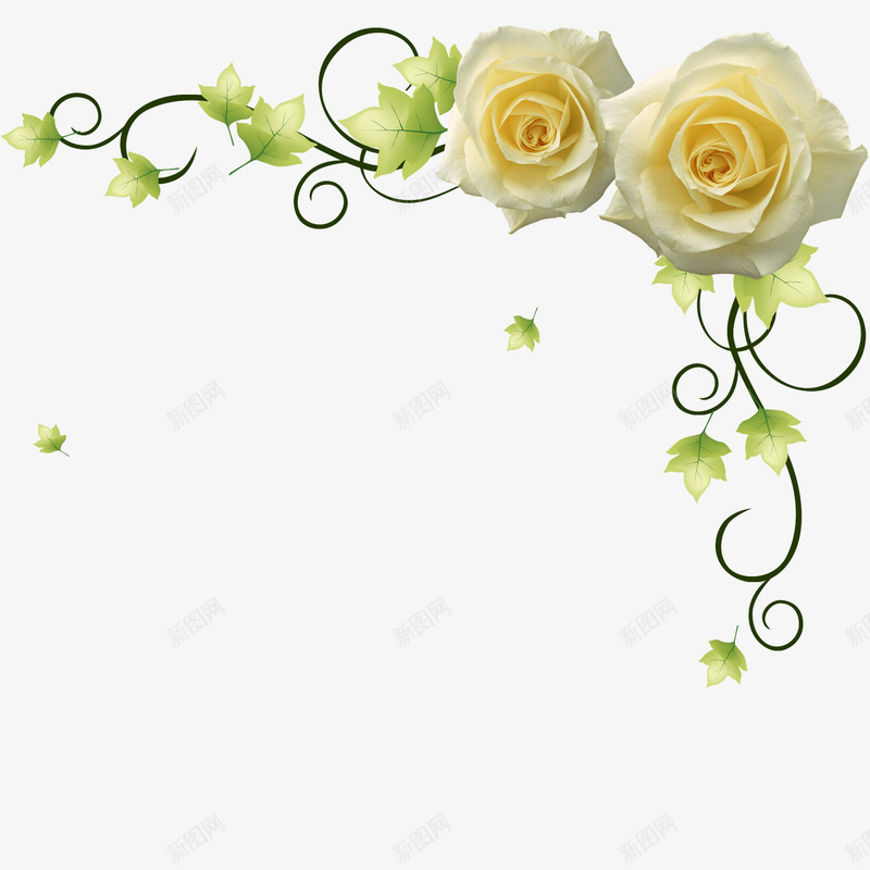 花朵png免抠素材_新图网 https://ixintu.com 玫瑰 花朵 花环 花边 香槟色