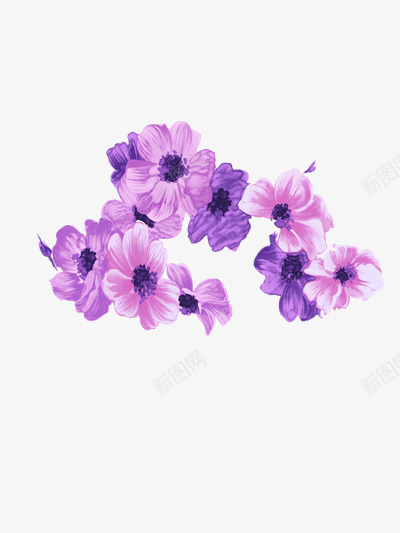 淡雅水墨花卉png免抠素材_新图网 https://ixintu.com 植物 淡雅 紫色