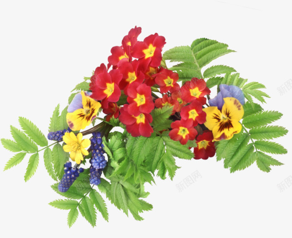 卡通小红花绿色植物png免抠素材_新图网 https://ixintu.com 卡通手绘 小红花 植物装饰 绿色