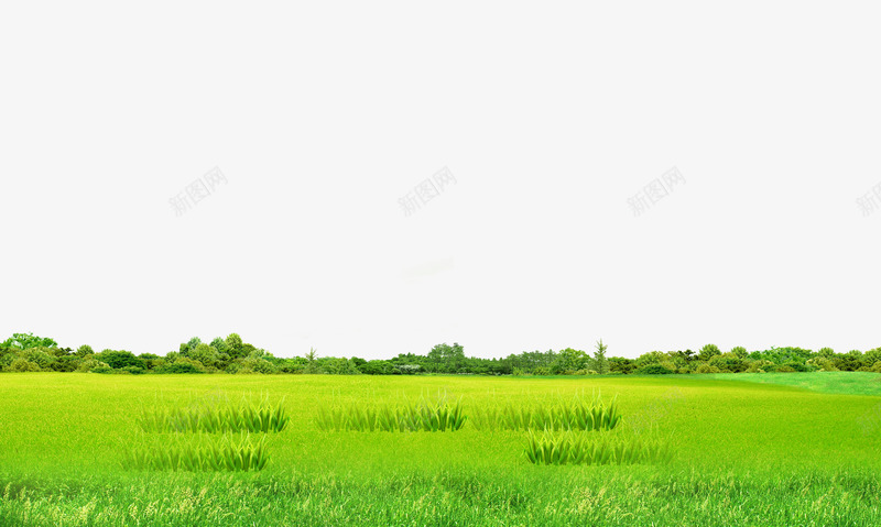绿色草地草丛边框纹理psd免抠素材_新图网 https://ixintu.com 免抠PNG 绿色 草丛 草地 边框纹理