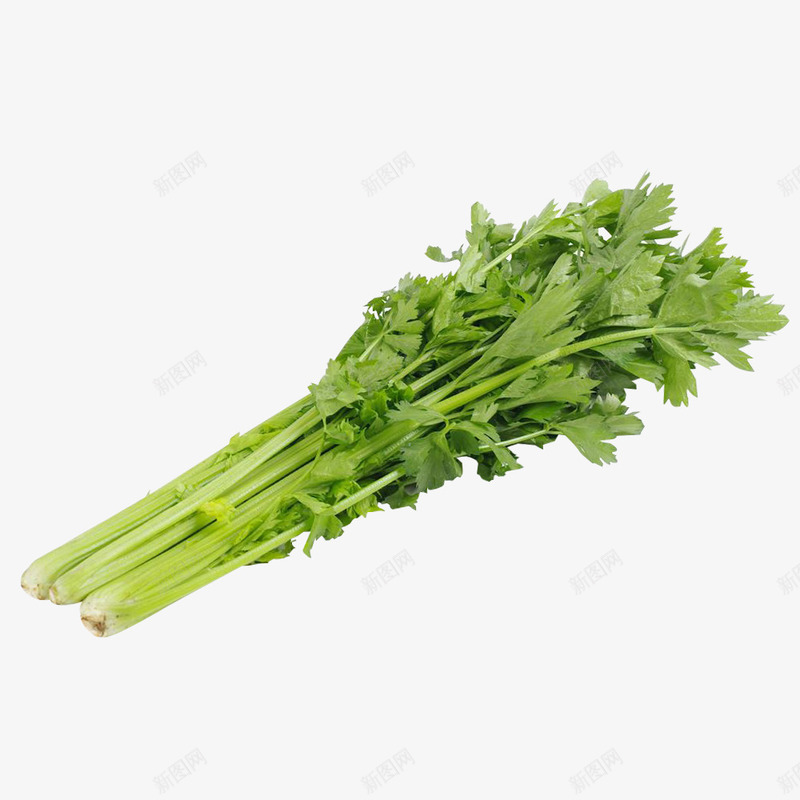 蔬菜芹菜透明png免抠素材_新图网 https://ixintu.com 叶子 爱心蔬菜 绿色 芹菜 菜类图片 香菜