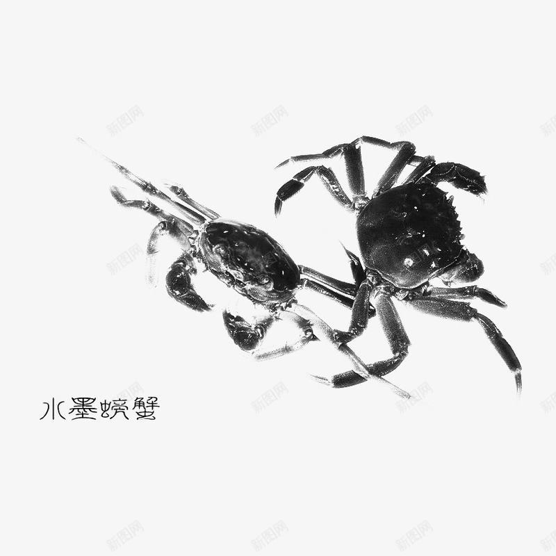 中国风水墨螃蟹png免抠素材_新图网 https://ixintu.com 中国风 大闸蟹 广告设计 水墨螃蟹 水墨蟹 海报设计 美食 螃蟹 蟹 蟹文化 设计