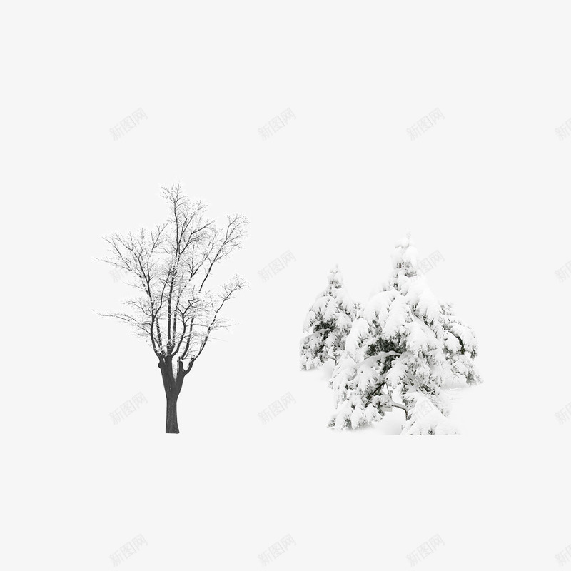 雪后的树源文件psd免抠素材_新图网 https://ixintu.com 下雪 冬天 树木 植物