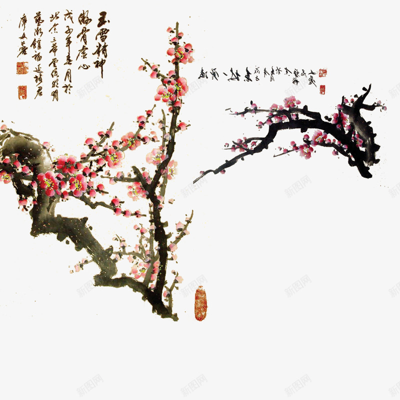 12月腊梅png免抠素材_新图网 https://ixintu.com 冬天 冷艳 毛笔字 花朵
