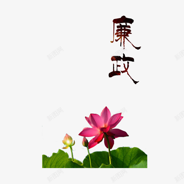 出淤泥而不染png免抠素材_新图网 https://ixintu.com 党风廉政建设 廉政 简笔 绿色 荷花