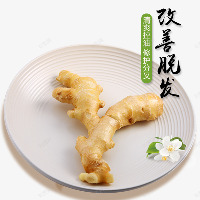 生姜洗发水png免抠素材_新图网 https://ixintu.com png素材 产品实物 修护脱发 姜 改善脱发 清爽控油