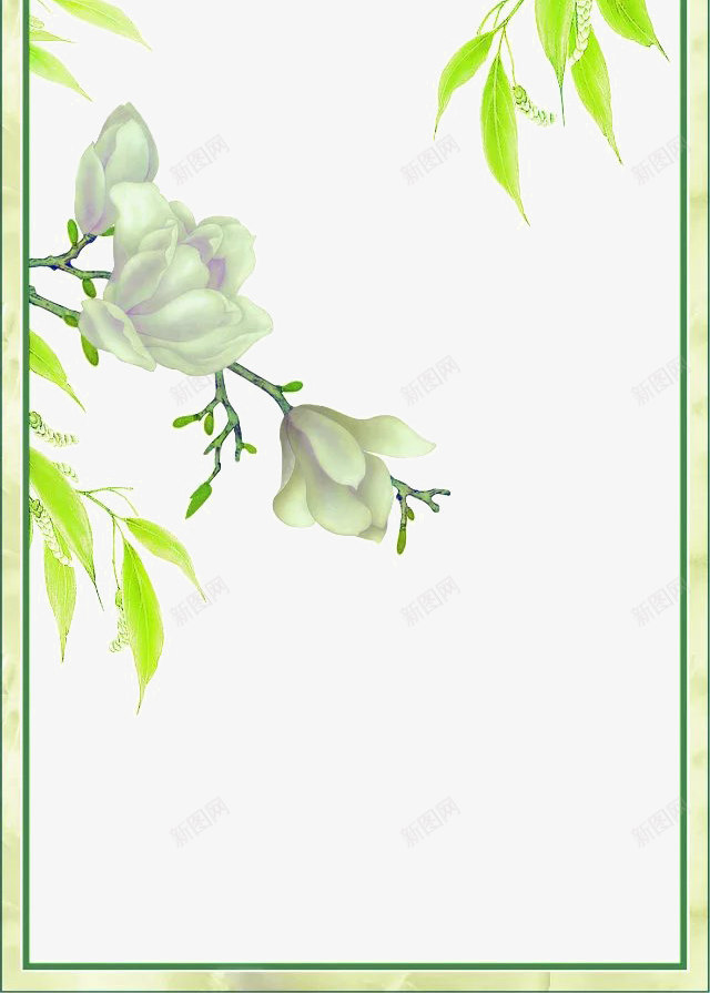 一副淡雅的花册png免抠素材_新图网 https://ixintu.com 浅绿色 简约 香气袭人 鲜花盛开