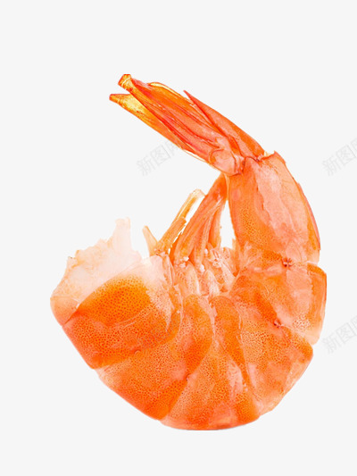 虾png免抠素材_新图网 https://ixintu.com 小龙虾 海鲜 美食 虾子