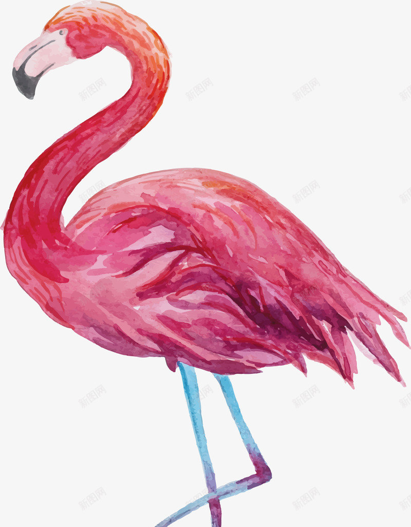 红色火烈鸟png免抠素材_新图网 https://ixintu.com 一只 卡通 手绘 水墨 火烈鸟 火焰鸟 红色 蓝色 黑色