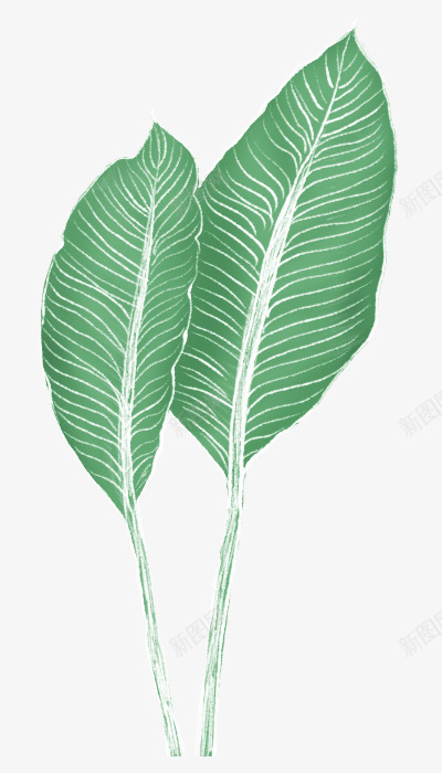 卡通涂鸦植物绿色小清新树叶png免抠素材_新图网 https://ixintu.com 卡通 树叶 植物 涂鸦 清新 绿色