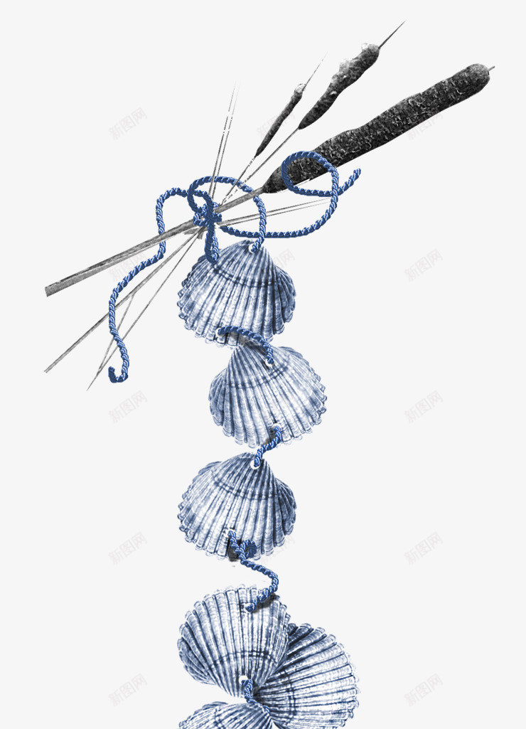系在一起的蓝色贝壳png免抠素材_新图网 https://ixintu.com 绳子 蓝色绳子 蓝色贝壳 贝壳