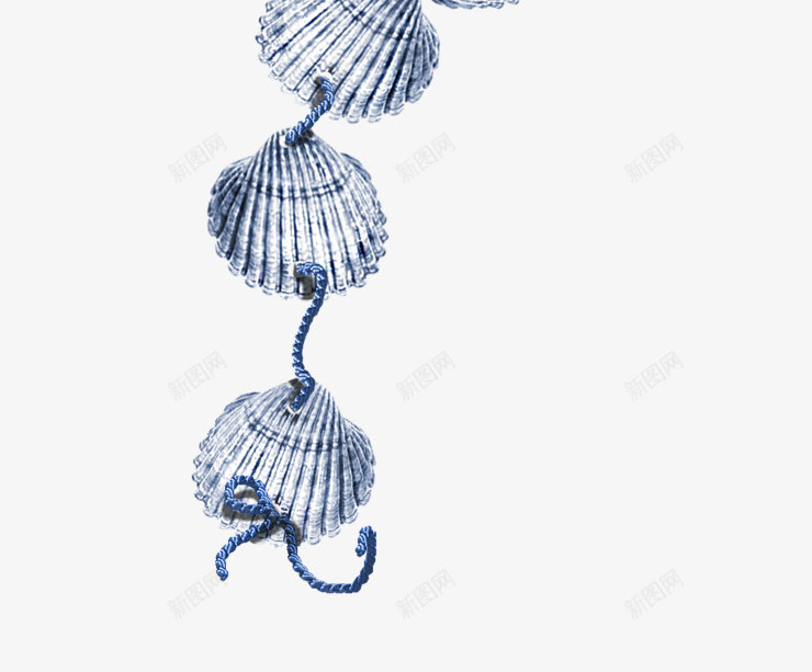 系在一起的蓝色贝壳png免抠素材_新图网 https://ixintu.com 绳子 蓝色绳子 蓝色贝壳 贝壳
