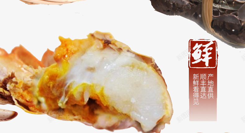 蟹黄详图png免抠素材_新图网 https://ixintu.com 大闸蟹 淘宝详图 蟹黄