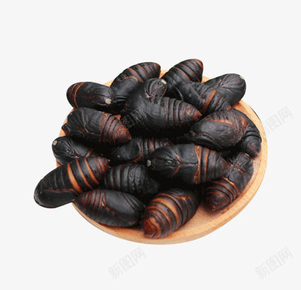 黑蛹蚕蛹茧蛹png免抠素材_新图网 https://ixintu.com 茧蛹 虫子 蚕蛹 黑蛹