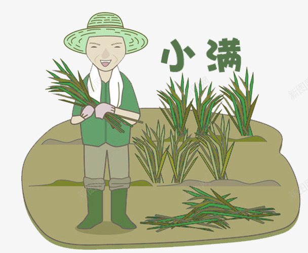 小满装饰插图种植水稻png免抠素材_新图网 https://ixintu.com 二十四节气 小满 手绘插画 水稻 种植 装饰插图