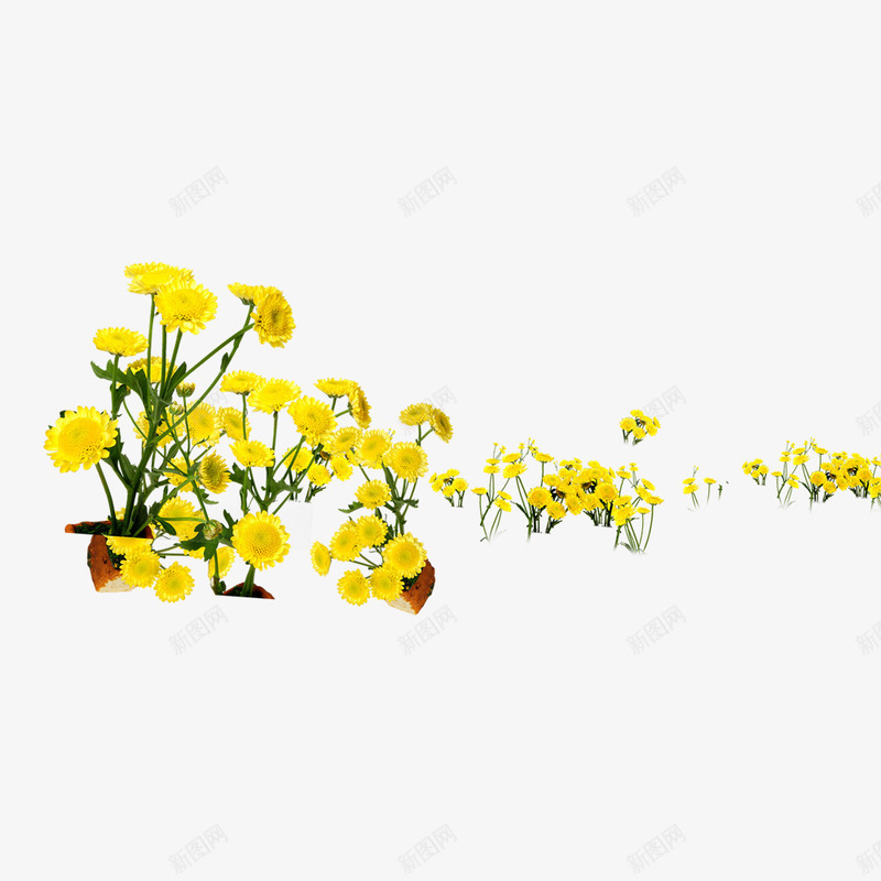 花朵png免抠素材_新图网 https://ixintu.com 小草 碎花 花串 黄色
