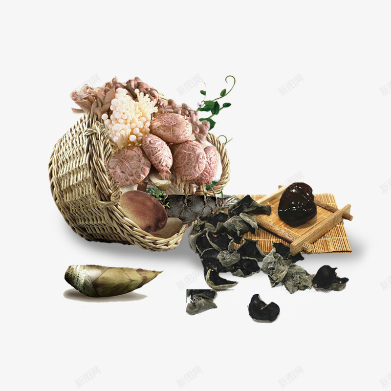 蘑菇png免抠素材_新图网 https://ixintu.com 干货 木耳 蘑菇 食物