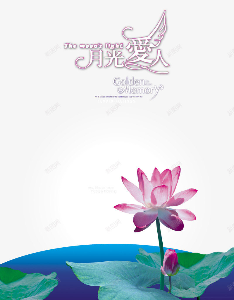 月光爱人荷花背景png免抠素材_新图网 https://ixintu.com 夏日 夜晚 荷花