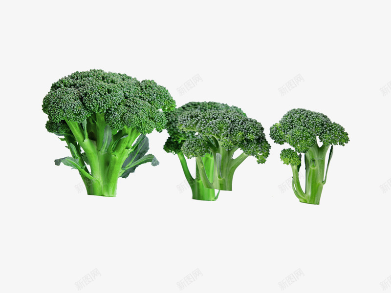 绿色健康美食西蓝花png免抠素材_新图网 https://ixintu.com 健康 吃出健康 绿色 绿色食品宣传PNG 花菜 蔬菜 西蓝花 食品 食品png 食品矢量图片ps 食物免扣 食物免扣图片